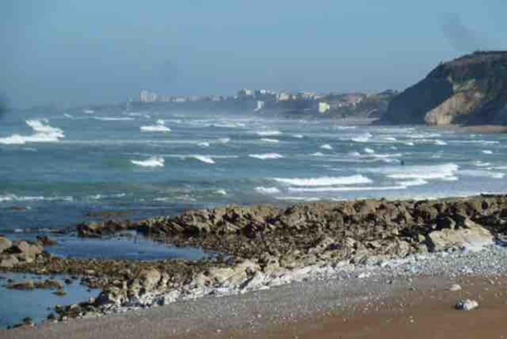 Bidart Cote Basque T3 250 Metres De La Plage 3*** Apartment Exterior foto